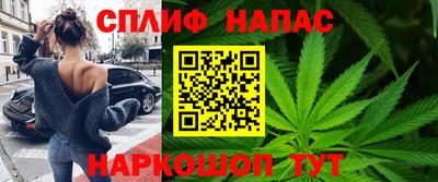 амф Камышлов