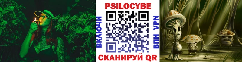 MEGA зеркало наркотики Лесозаводск Псилоцибиновые грибы Psilocybe