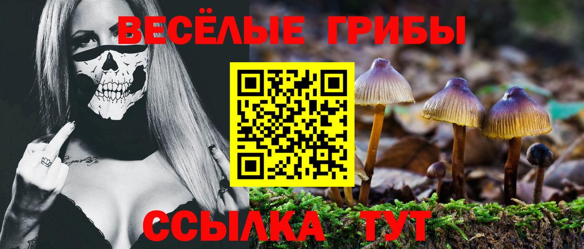 МЕФ Лесозаводск