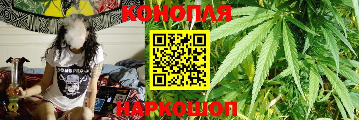 Конопля OG Kush Лесозаводск